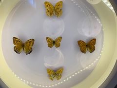 -下渚湖国家湿地公园科普馆