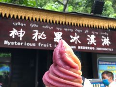 -西双版纳原始森林公园
