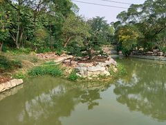 -广西壮族自治区药用植物园