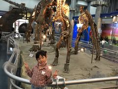 -国家自然博物馆