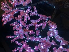 -蓝鲸湾汤泉(包河店)