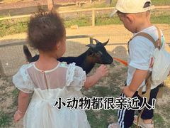 -盈香心动乐园