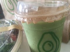 -油梨树AVOCADO TREE(嘉里中心店)