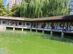 -团结湖公园