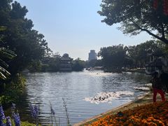 -荔湾湖公园