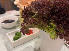 -烹然四季椰子鸡火锅(团结湖总店)