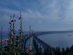 -星海湾跨海大桥
