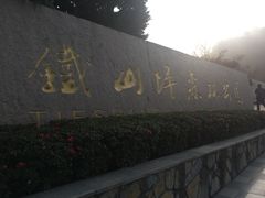 -铁山坪森林公园