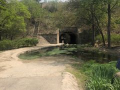 -白水寺森林公园