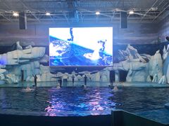 -福州罗源湾海洋世界旅游区