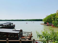 -上海海湾国家森林公园