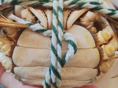 -丫丫蟹庄·苏式园林农家乐·阳澄湖大闸蟹(阳澄湖莲花岛店)