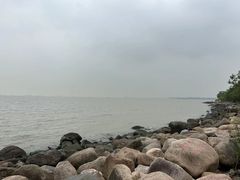 -上海长江河口科技馆