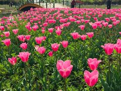 -兰陵国家农业公园