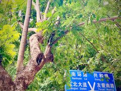 -舒记粉店(七星路店)