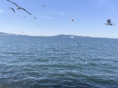 -悦海公园