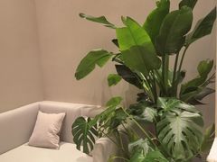 -泰合玺·精油疗愈 SPA(南京河西万达店)