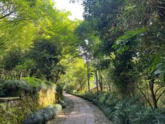 -法云古村