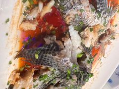 -百鸟朝凤宴会中心