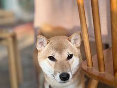 -广州市紫泥堂文化创意园景区