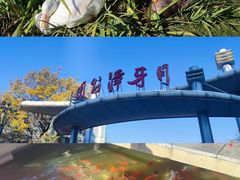 -月牙潭公园