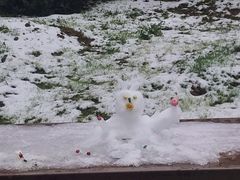 景点-香雪海