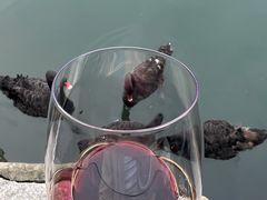 -深圳东部华侨城茵特拉根酒店