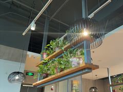 -比格比萨自助(国展店)