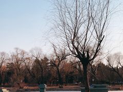 -长春市南湖公园