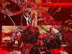-星·South Beauty·俏江南(国贸店)