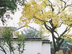 -拙政园