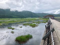 -腾冲北海湿地