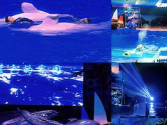 -海合安武汉极地海洋公园