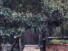 -东山雕花楼