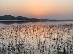 -东湖落雁景区