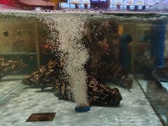-阿伟海鲜楼·福建菜(延寿店)