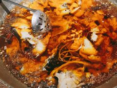 -雲蜀龙阁·金牌水煮鱼(方庄店)