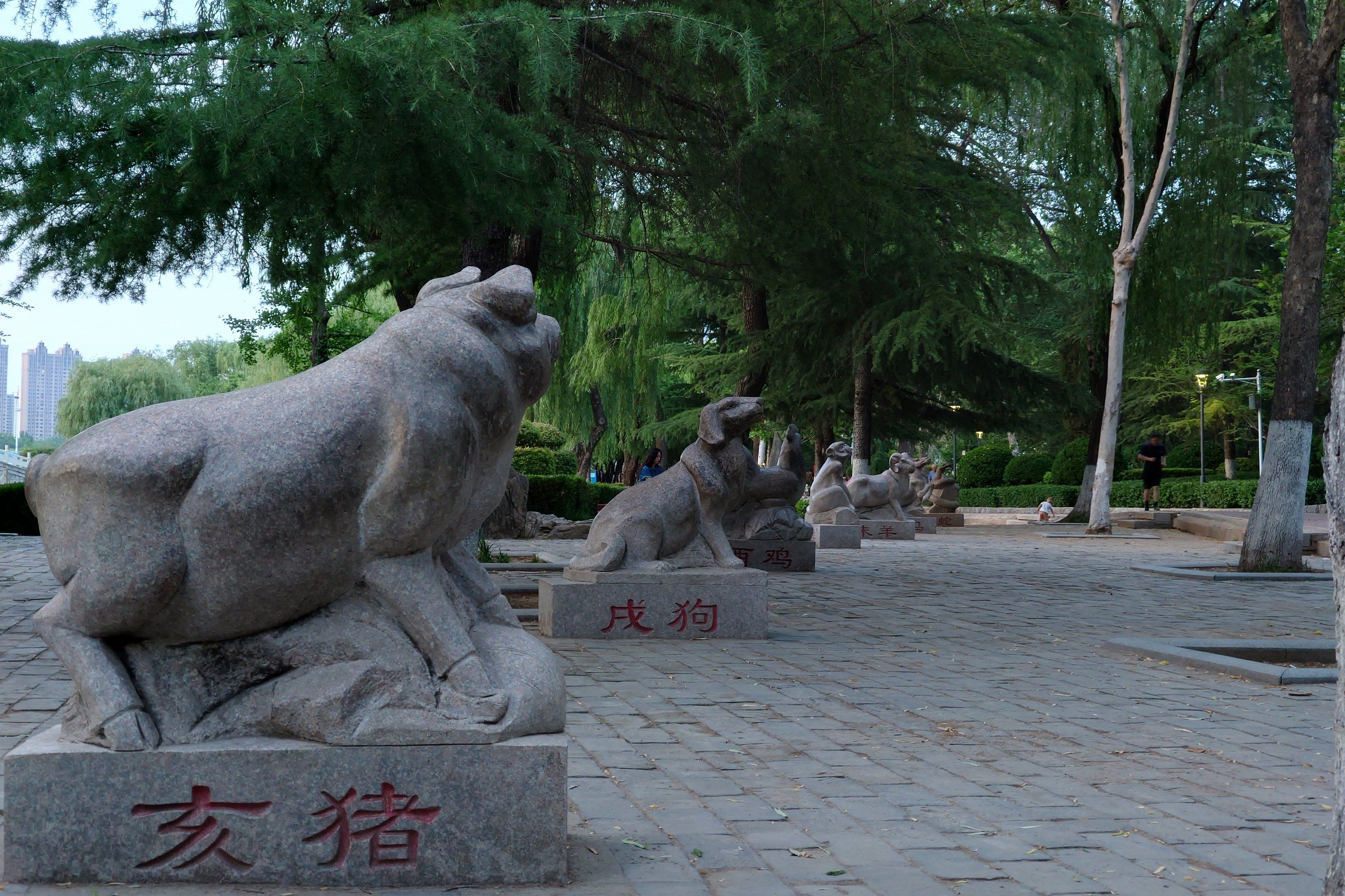 城市公园图鉴——《菏泽天香公园》