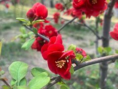 -元大都城垣遗址公园