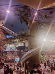 点击看大图 -卡通尼·Safari非洲探索乐园·生日会(金桥国际商业广场店)