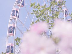 -顾村公园