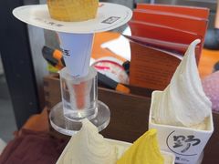 -野人先生Gelato(上海长宁龙之梦店)