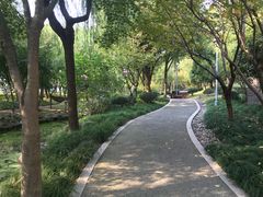 -陈家山荷花公园