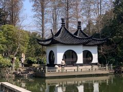 -红梅公园