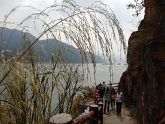 -羚羊峡古栈道森林公园
