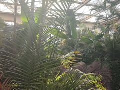 -忆江南·生态餐饮宴会酒店