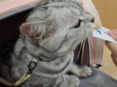 -美联众合动物医院·24h京西诊疗中心