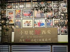 -福苗小骆驼烧烤(莲湖路店)