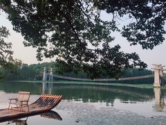 -东湖落雁景区
