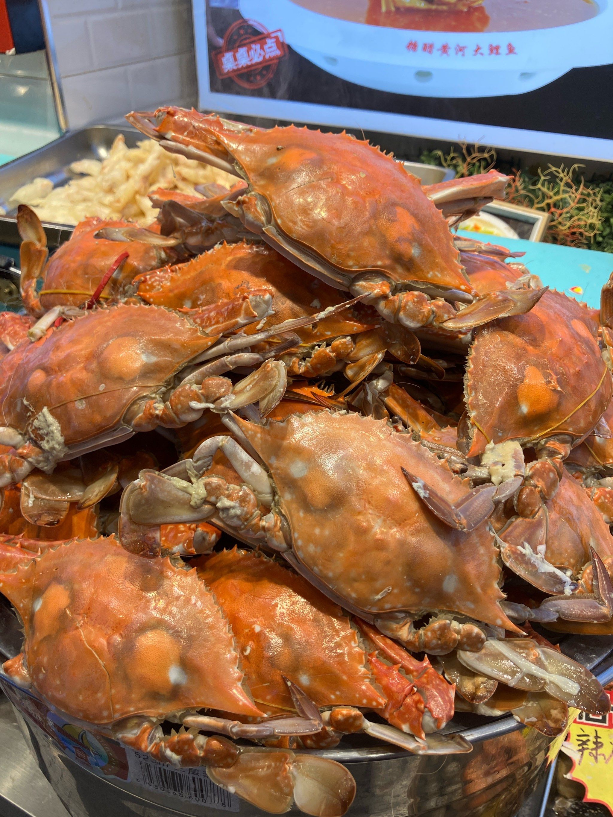 干了这杯布袋海肠